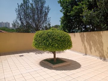 Quintal 