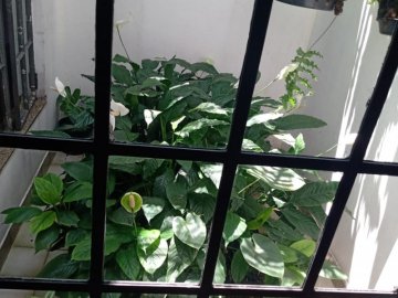 Jardim de Inverno 