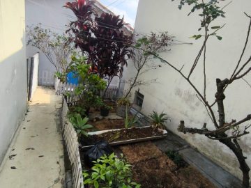 Quintal dos Fundos 