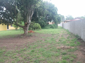 Paisagismo 