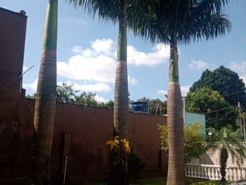 Paisagismo 
