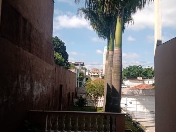 Paisagismo 