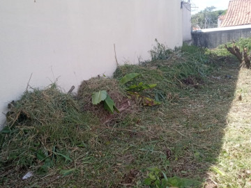 Terreno 