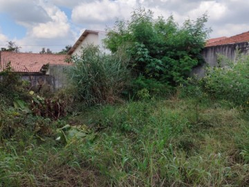 Terreno 