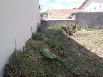 Terreno 